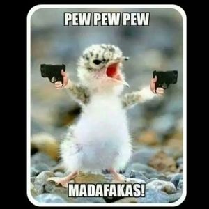 Meet your Posher, Coolhatsian